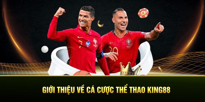 Giới thiệu thông tin sảnh cá cược thể thao King88